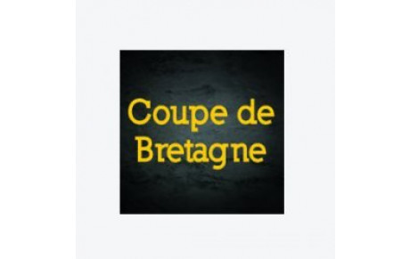 coupe de bretagne   