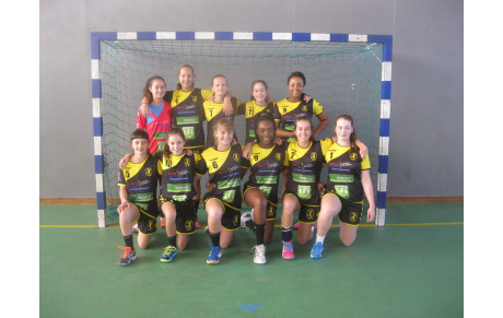-15 Région Excellence FILLES - saison 2014-2015
