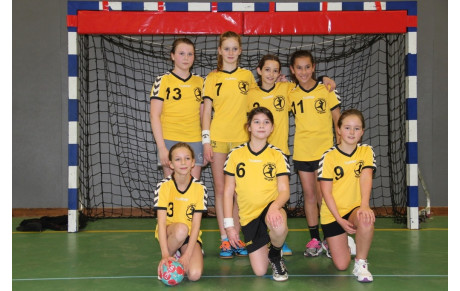 - 12 Filles Excellence - saison 2014-2015
