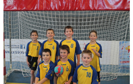 -10 Mixte - saison 2014-2015